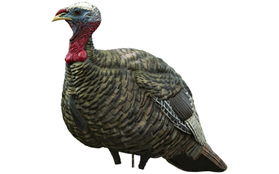 Avian-X LCD - Jake Quarter Strut Decoy