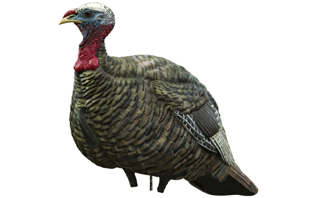 Avian-X LCD - Jake Quarter Strut Decoy