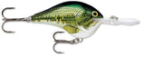 Rapala DT Series Crankbait