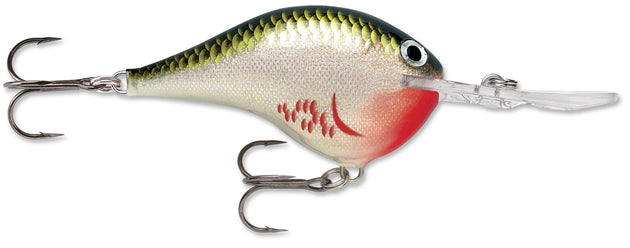 Rapala DT Series Crankbait