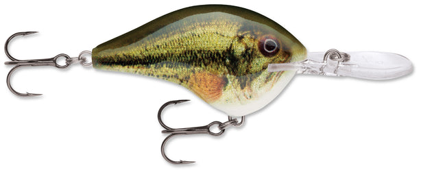 Rapala DT Series Crankbait