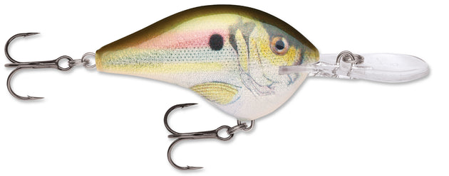 Rapala DT Series Crankbait