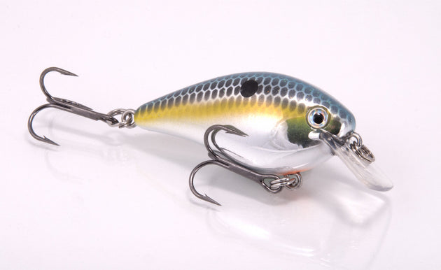 Strike King KVD Square Bill Crankbait