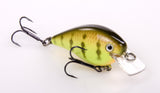 Strike King KVD Square Bill Crankbait