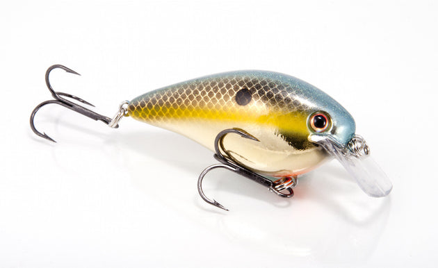 Strike King KVD Square Bill Crankbait