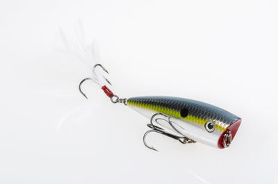 Strike King KVD Splash Jr.