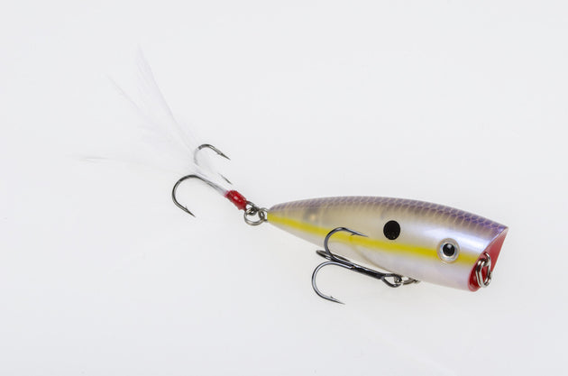 Strike King KVD Splash Jr.