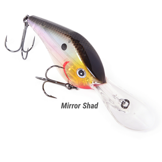 Timmy Horton's Azuma Z Boss 24 – Rountree Outdoors